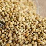 ketumbar, hidup sehat, artikel kesehatan