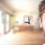 Cuaca tak menentu waspada gejala DBD gejala dbd, demam berdara, dbd