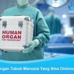 Donor organ tubuh manusia
