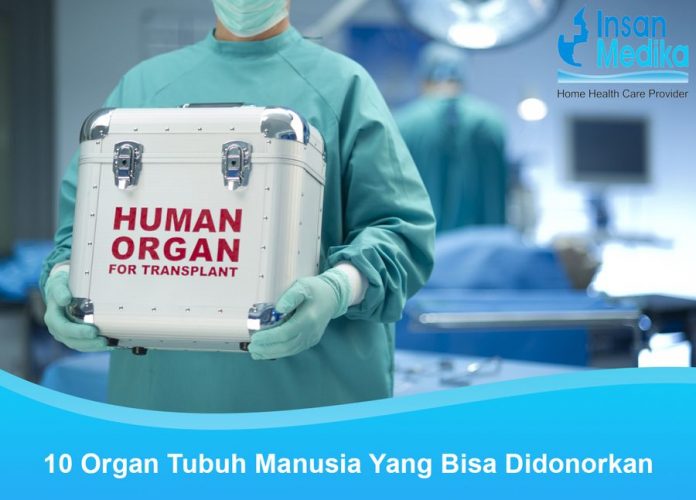 Donor organ tubuh manusia