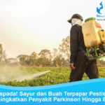 Waspada! Sayur dan Buah Terpapar Pestisida Meningkatkan Penyakit Parkinson Hingga 80%! Paparan Pestisida Terhadap Parkinson