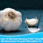 Manfaat bawang putih