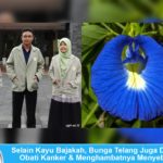 Yuk Kenalan dengan Bunga Telang yang Bermanfaat untuk Obati dan Ampuh Cegah Kanker Berikut Ini Mahasiswa UGM temukan obat kanker dari bunga telang