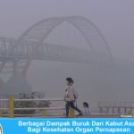 Berbagai Dampak Buruk Dari Kabut Asap Bagi Kesehatan Organ Pernapasan Manusia Dampak buruk akibat kabut asap kebakaran bagi kesehatan organ pernapasan manusia