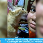Benarkah jilatan kucing mempunyai manfaat untuk membuat kulit wajah menjadi sehat dan anti jerawat?