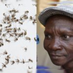 Viral Pria asal Uganda berhasil bunuh nyamuk menggunakan kentutnya