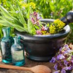 5 Tumbuhan Obat Luka Luar Alami Yang Banyak Ditemukan di Alam Tumbuhan yang dapat dijadikan sebagai Obat luka luar alami