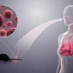 Hantavirus Jenis, Gejala, Pengobatan dan Pencegahan