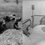 Rabies: Penyebab, Gejala, Pengobatan dan Pencegahan Rabies