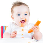 Mengenalkan Finger Food untuk Si Kecil