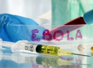 Ebola: Penyebab, Gejala, Pengobatan, dan Pencegahan Penyakit Ebola