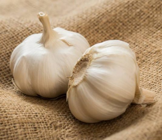 Segudang Manfaat dari bawang putih