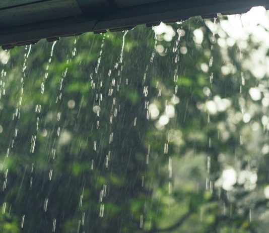 kenali ciri - ciri penyakit saat musim hujan