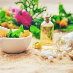 Apotek hidup merupakan sebagian tanah yang dimanfaatkan menjadi kebun yang isinya terdapat tanaman yang memiliki fungsi sebagai obat – obatan yang bisa digunakan sehari – hari.