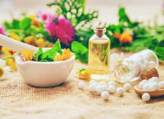 Apotek hidup merupakan sebagian tanah yang dimanfaatkan menjadi kebun yang isinya terdapat tanaman yang memiliki fungsi sebagai obat – obatan yang bisa digunakan sehari – hari.