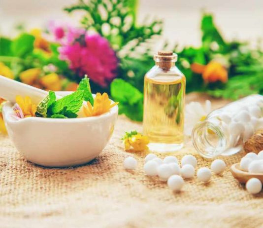 Apotek hidup merupakan sebagian tanah yang dimanfaatkan menjadi kebun yang isinya terdapat tanaman yang memiliki fungsi sebagai obat – obatan yang bisa digunakan sehari – hari.