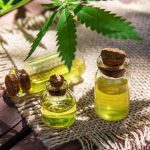 Bukan Sembarang Minyak Gosok, Ini Manfaat Minyak Tawon untuk Kesehatan