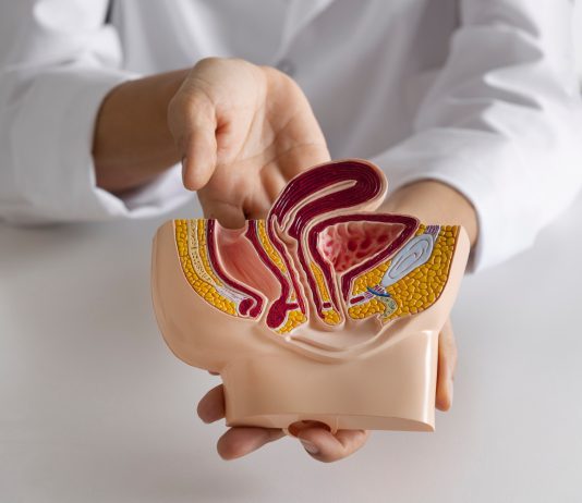 Penyakit Kanker Prostat: Gejala, Penyebab, dan Penanganan